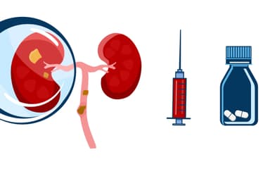 Titelbild von Basisscreening auf Nierengesundheit ab 35?