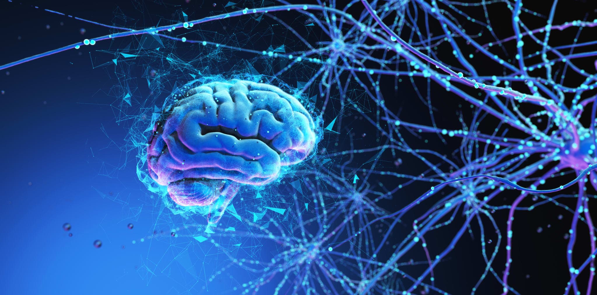 Wichtige Leitlinien der Neurologie 2023