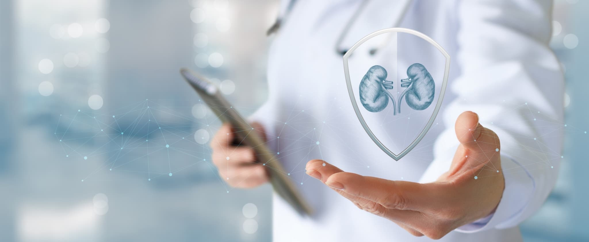 Neue Daten zu GLP-1-RA bei Lupus-Nephritis und SLE
