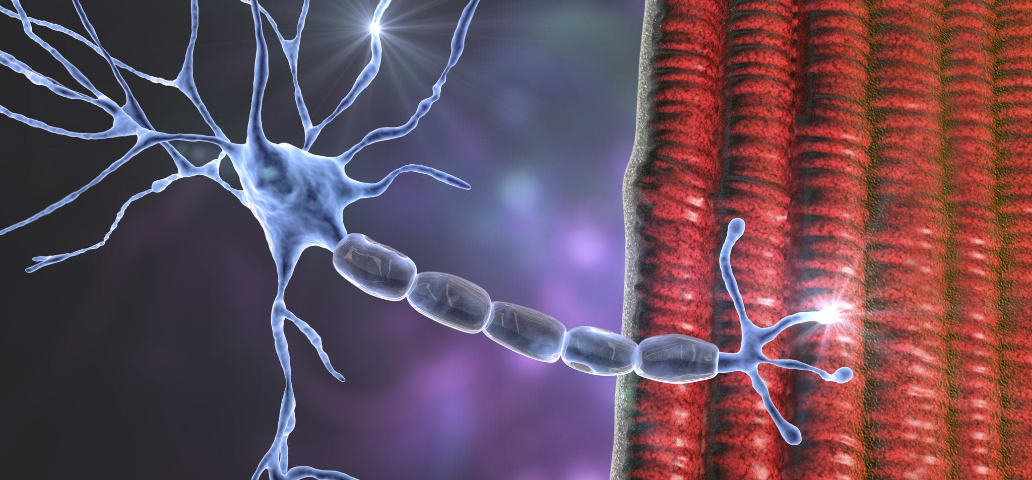 S1-Leitlinie Myotone Dystrophien, nicht dystrophe Myotonien und periodische Paralysen