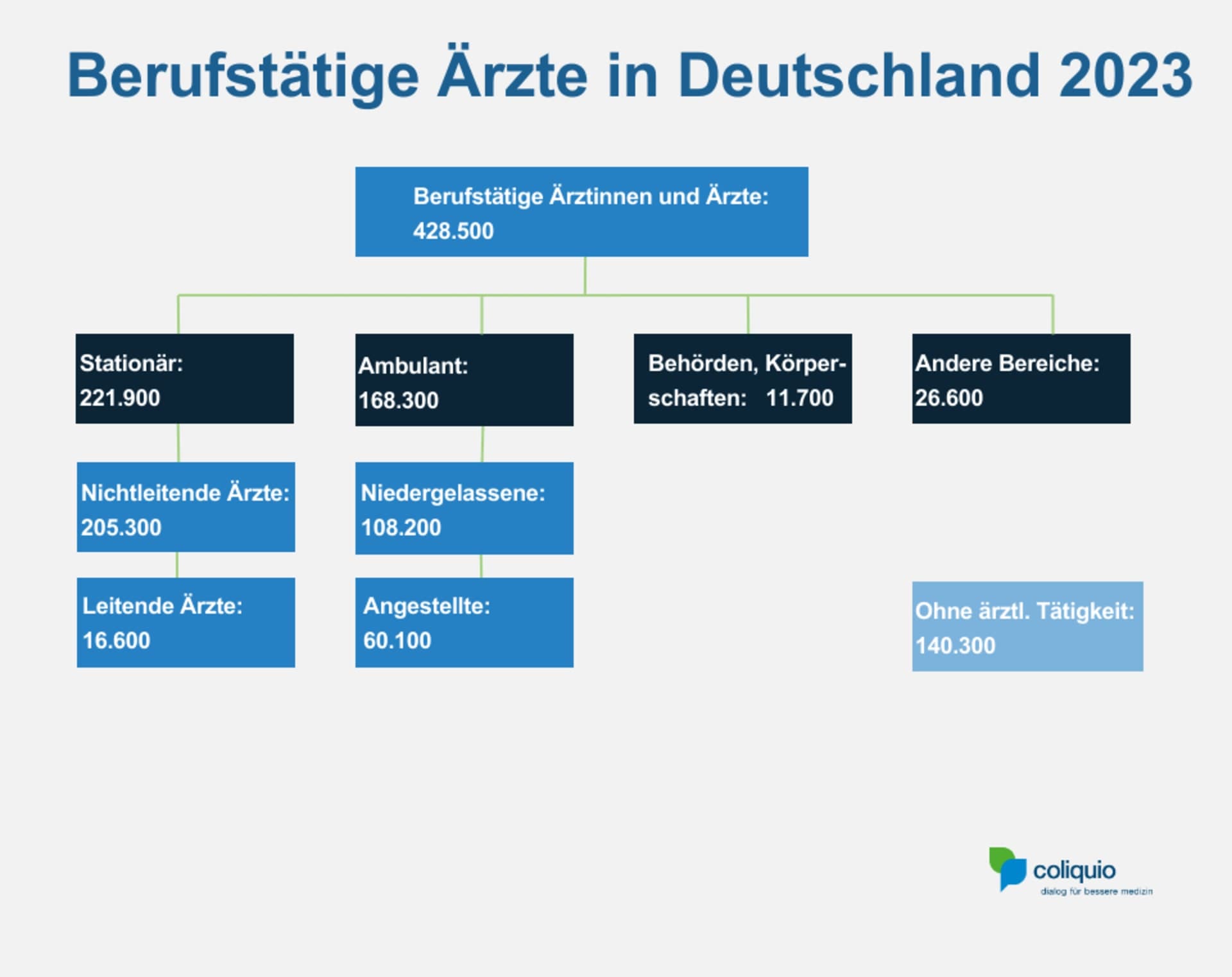Überblick berufstätige Ärzte 2023
