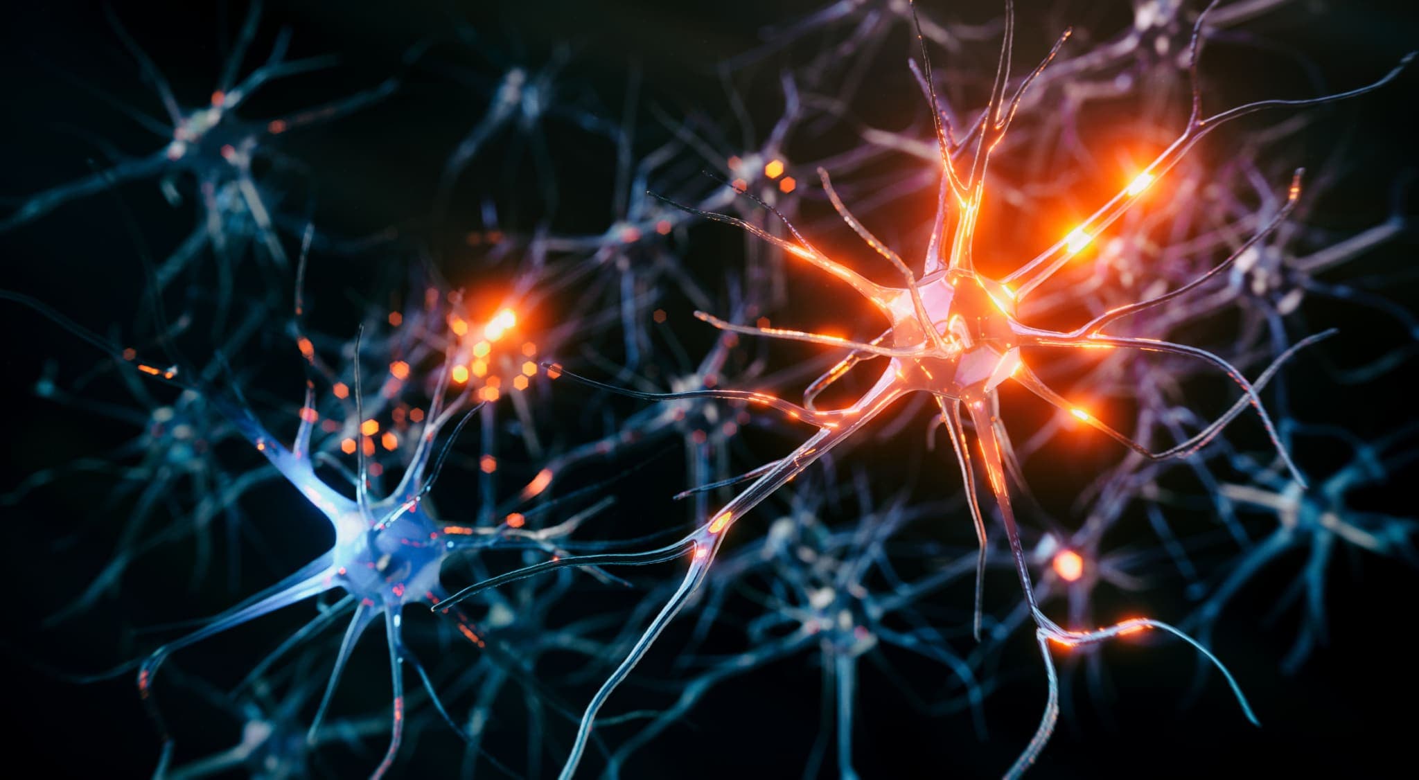 Neuronenzellen