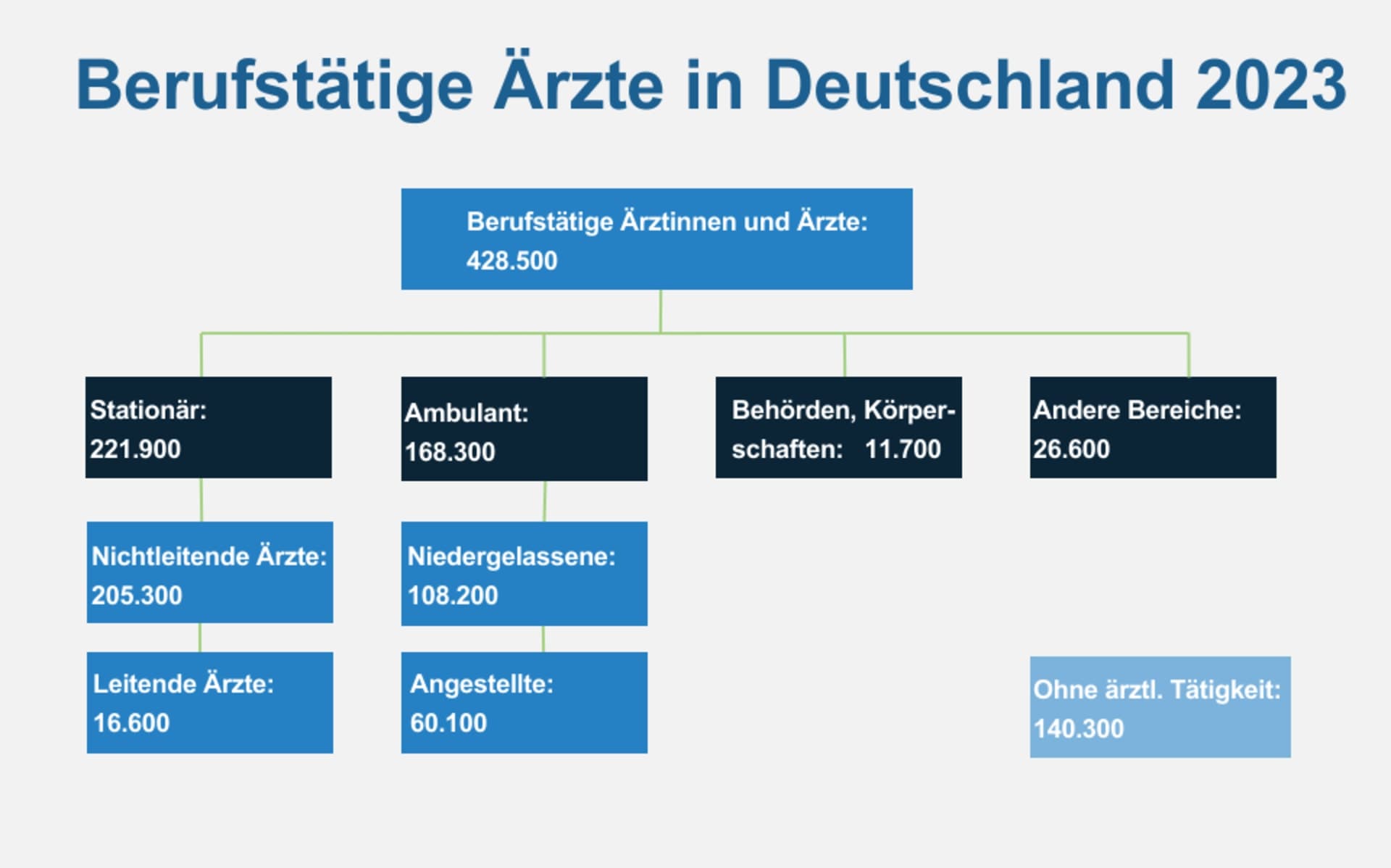 Überblick berufstätige Ärzte 2023